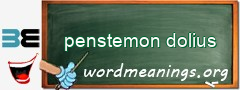 WordMeaning blackboard for penstemon dolius